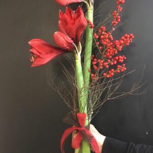 Joulukimppu Amaryllis korkea