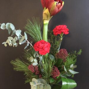 30 Joulukimppu Amaryllis punainen neilikoilla