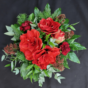 Amaryllis kimppu matala punainen