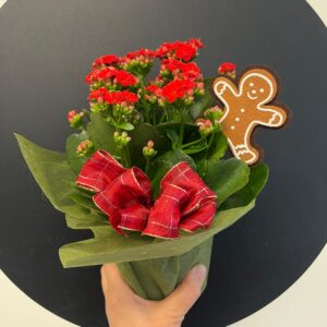 Koristeltu Tulilatva LIetolaiselle ikäihmiselle