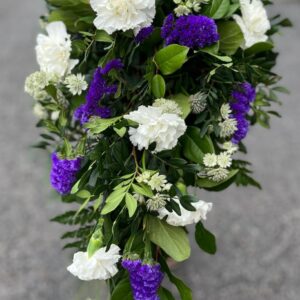 Surulaite valkoinen Neilikka, sininen ikikukka