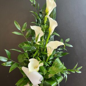 Surukimppu 8 - Valkoinen Kalla, vihreillä.